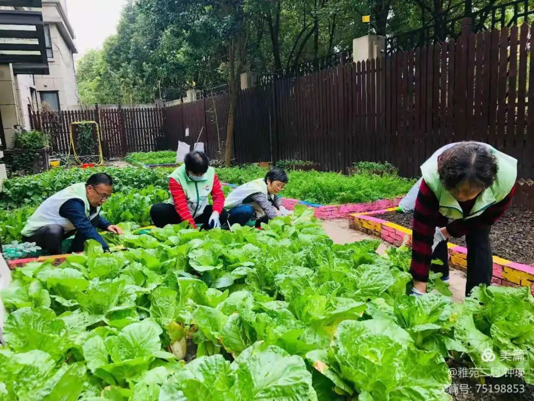 种植业协作社是干嘛的