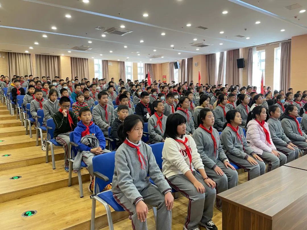 【淳谨讲堂】与法同行,共筑未来——顾村中学综合素质教育纪实(一)