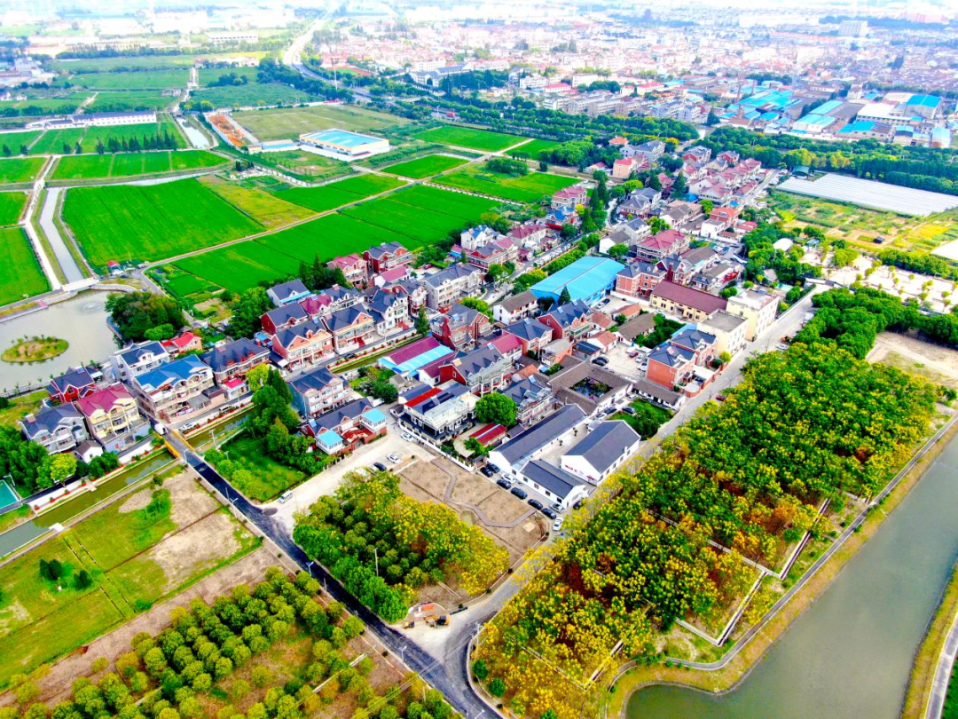 美丽认证罗店镇远景村光明村成功创建市级美丽乡村示范村