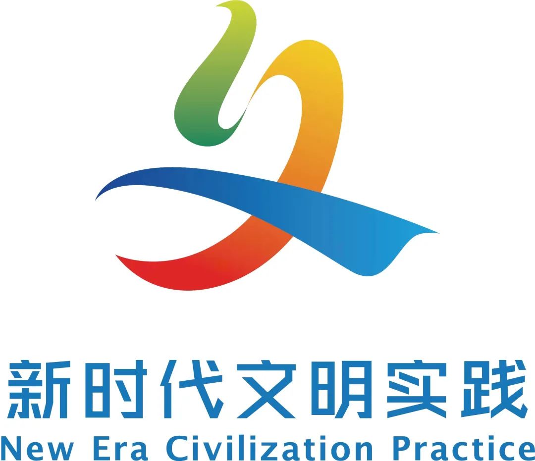 新时代文明实践喜讯新时代文明实践宝山代表队淞南镇地铁志愿服务总队